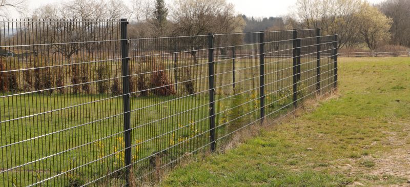 Cost of Invisible Fencing — Cost of Invisible Fencing