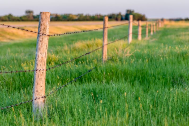 Cost of Invisible Fencing — Cost of Invisible Fencing
