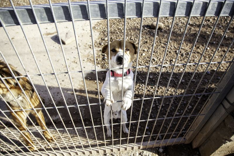 Timely Service Scheduling